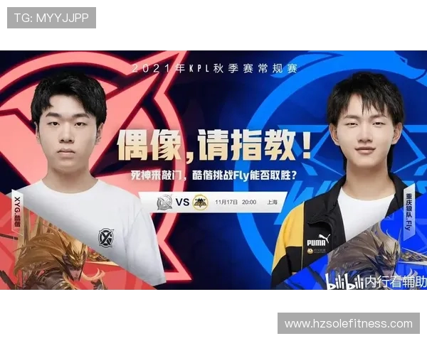 以向鱼王者为核心探讨团队协作与个人竞技在王者荣耀中的平衡之道